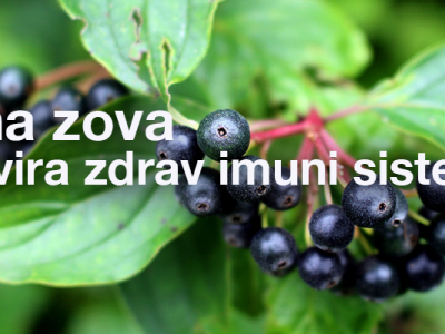 Crna Zova domaći sirup