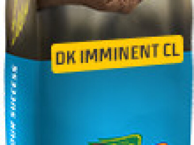 DK Imminent CL uljana repica