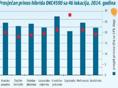 DKC4590 hibrid kukuruza, FAO 340