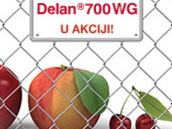 Delan® 700 WG