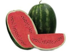 Lubenica Demre F1 500 sem