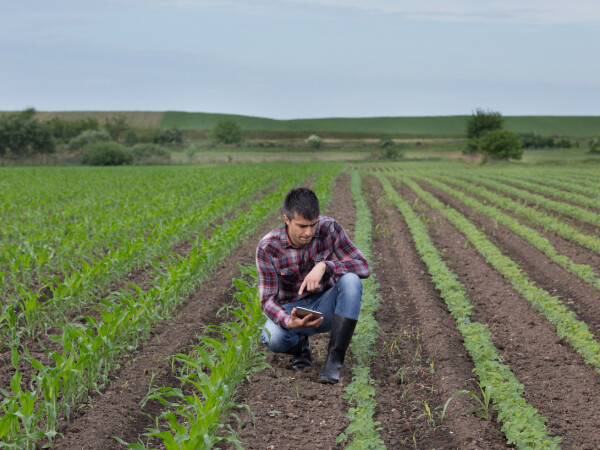 Zapošljavamo agronome - više izvršilaca
