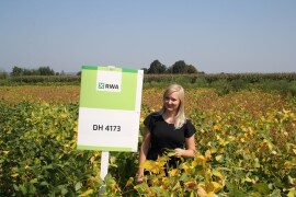 DH 4173 - RWA SORTA SOJE