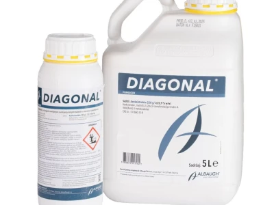 DIAGONAL 1/1