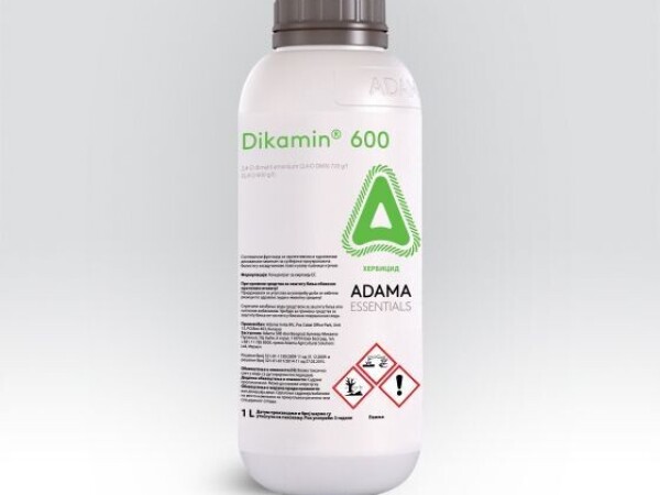 Dikamin® 600