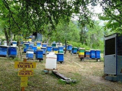 Disanje uz api komoru