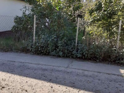 Prodajem parcelu na izlazu iz Beceja