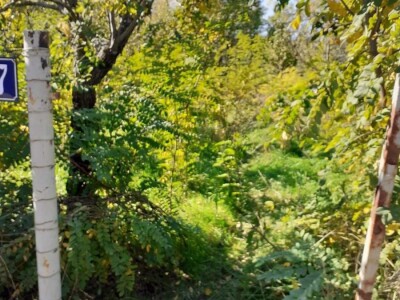 Prodajem parcelu na izlazu iz Beceja