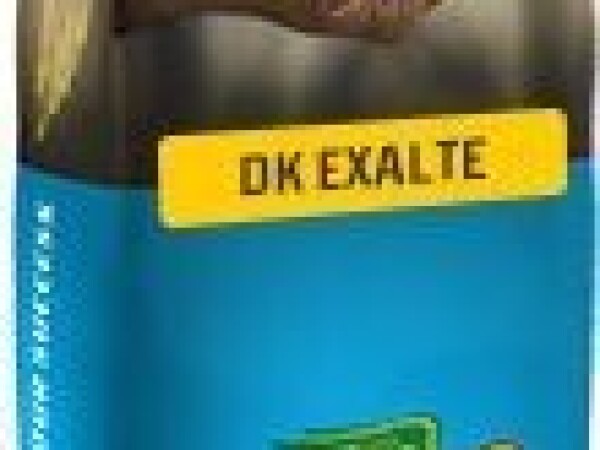 DK Exalte uljana repica
