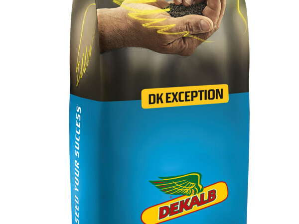 DK Exception