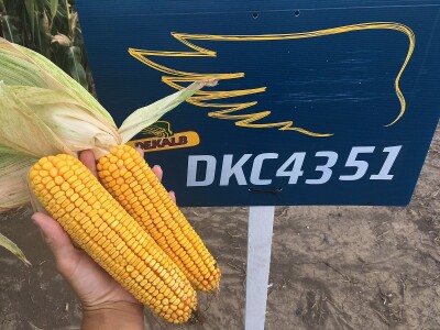 DKC4351 Sigurnost pre svega!