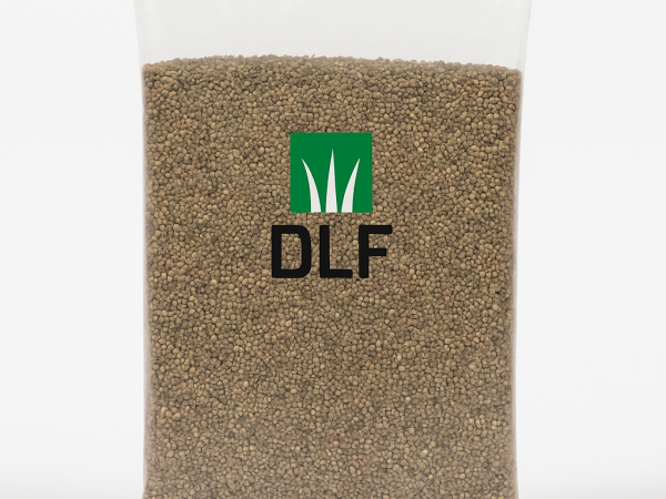 DLF Bijela djetelina RIVENDEL 1/1