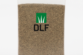 DLF Crvena djetelina VESNA 1/1