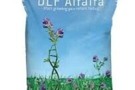 DLF Lucerna MEZZO - RhizoPower40 10 kg