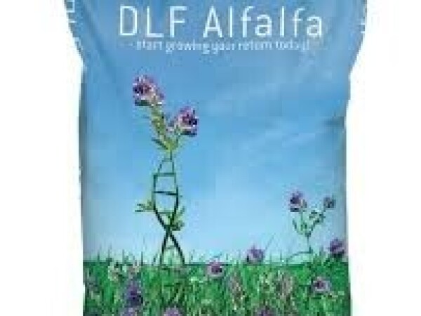 DLF Lucerna MEZZO - RhizoPower40 10 kg