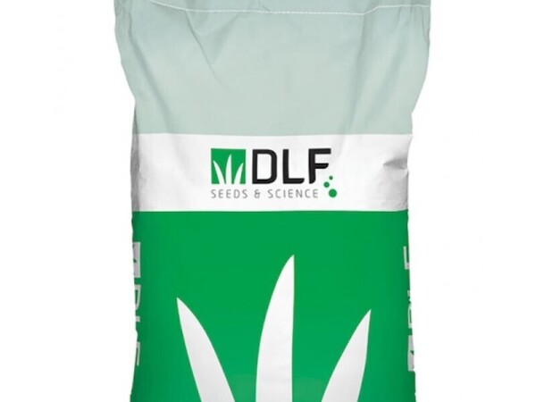 DLF Talijanski ljulj JIVET 10/1