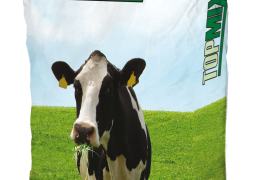 DLF DTS Topmix Livada 10/1