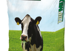 DLF DTS Topmix Pašnik 10/1