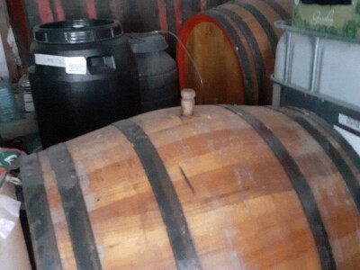 Domaća ljuta rakija od šljive, kajsije, dunje, jabuke i kruške