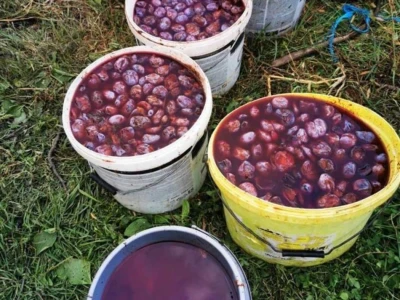 Domaca rakija