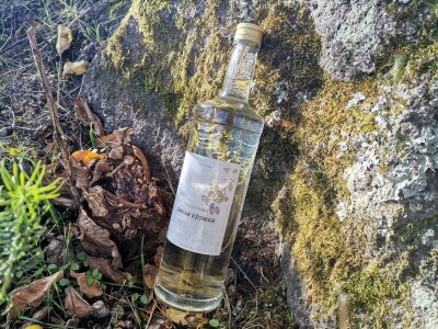 Domaća rakija od divlje kruške