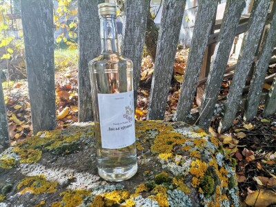 Domaća rakija od divlje kruške