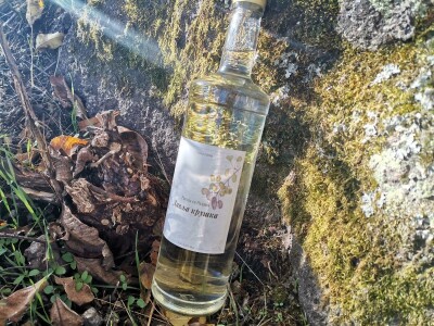 Domaća rakija od divlje kruške