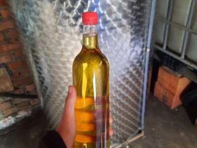 Domaća rakija šljiva 061 28 44 279