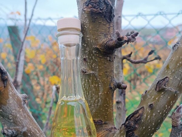 Domaca Šljivovica rakija