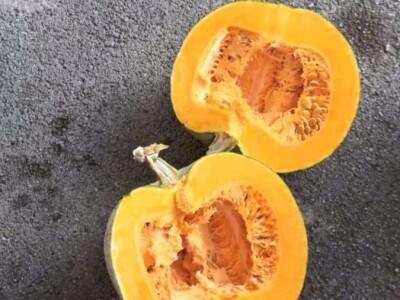 Domaca tikva(bundeva)