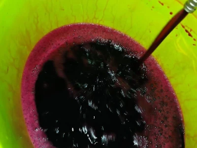 Domace crveno vino