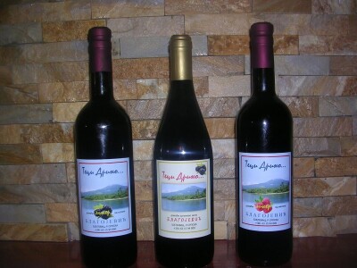 Domace kupinovo vino - Teci Drino...