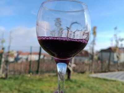 Domace vino