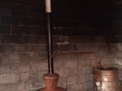 Domaće vino i rakija(LOZA)