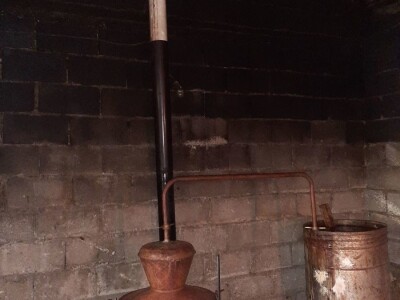 Domaće vino i rakija(LOZA)