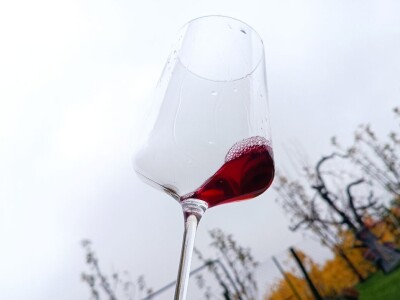 Domace vino (suvo ,poluslatko)