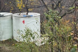 Domaći Šljivov destilat-meka rakija