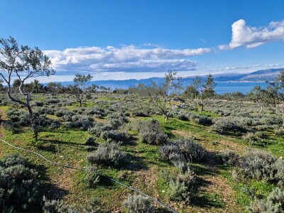 Donji Humac, zemljište za izgradnju OPG-a, 12555 m2, pogled