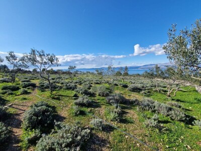 Donji Humac, zemljište za izgradnju OPG-a, 12555 m2, pogled