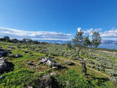 Donji Humac, zemljište za izgradnju OPG-a, 12555 m2, pogled