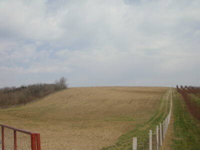 Voćnjak i pripremljeno zemljište