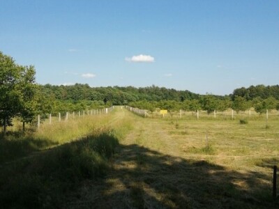 Eko voćnjaci Oraha 4.19 ha i 1.36 ha - Podravske Sesvete – PRODAJA