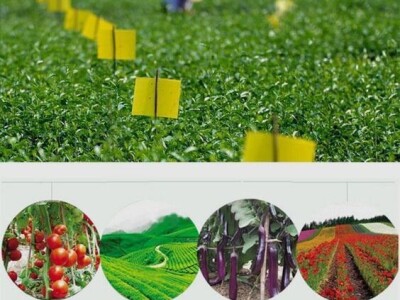 Ekoloski PP stik za insekte bez pesticida