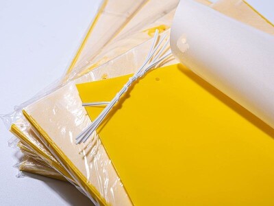 Ekoloski PP stik za insekte bez pesticida