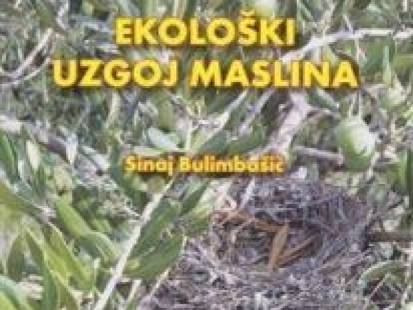 Ekološki uzgoj maslina