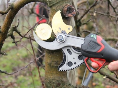 Električne škare INFACO Electrocoup F3015 Medium