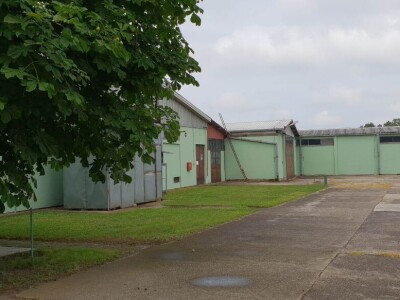 Fabrika za proizvodnju lekovitog bilja