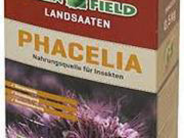 Facelia Balo (PhaceliaTanacetifolia)