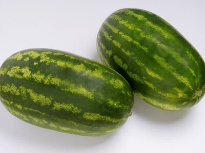 Lubenica FARAO F! 1.000 sj.