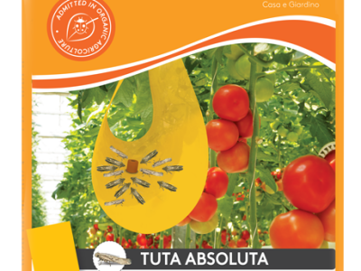 Feromonska zamka Temo-O-Cid Trap Plus za lisnog minera rajčice (Tuta absoluta)